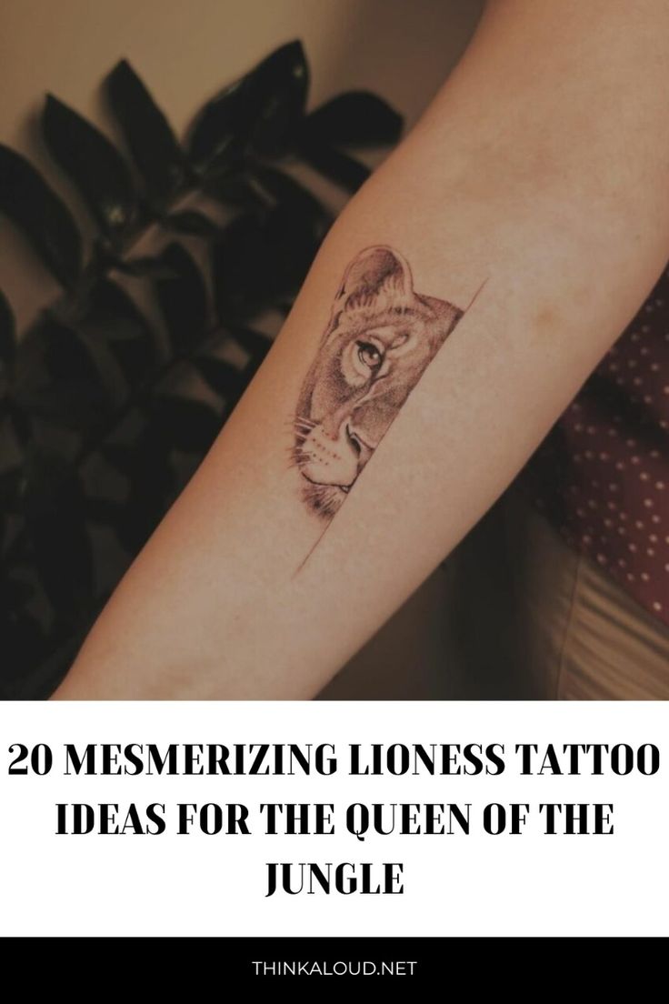 tatuagem leoa fineline