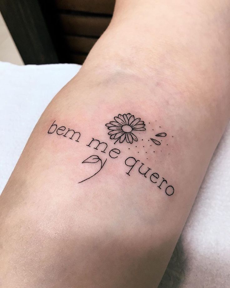 tatuagem de fênix renascimento feminino