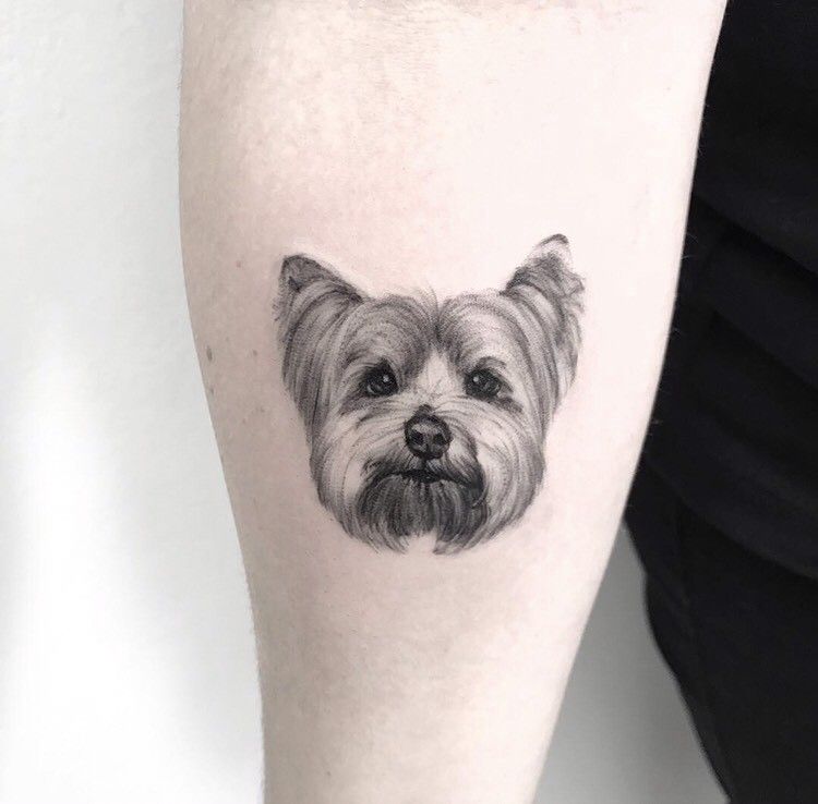 ideias tatuagem yorkshire terrier