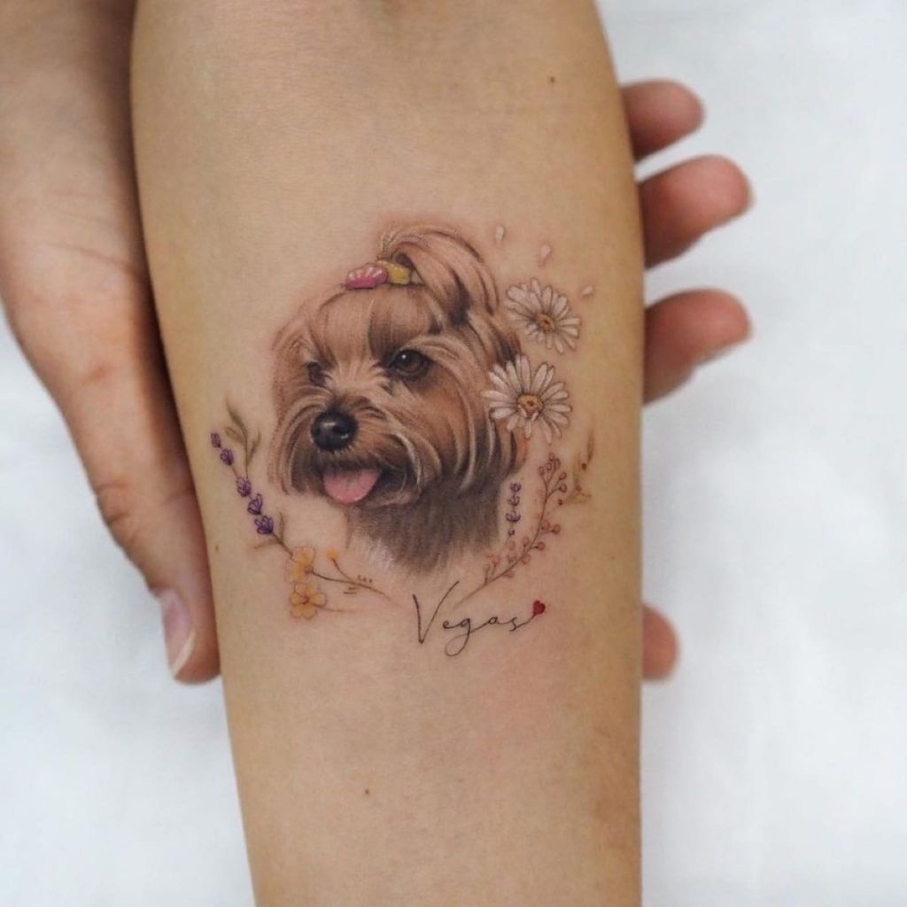 ideias tatuagem yorkshire terrier