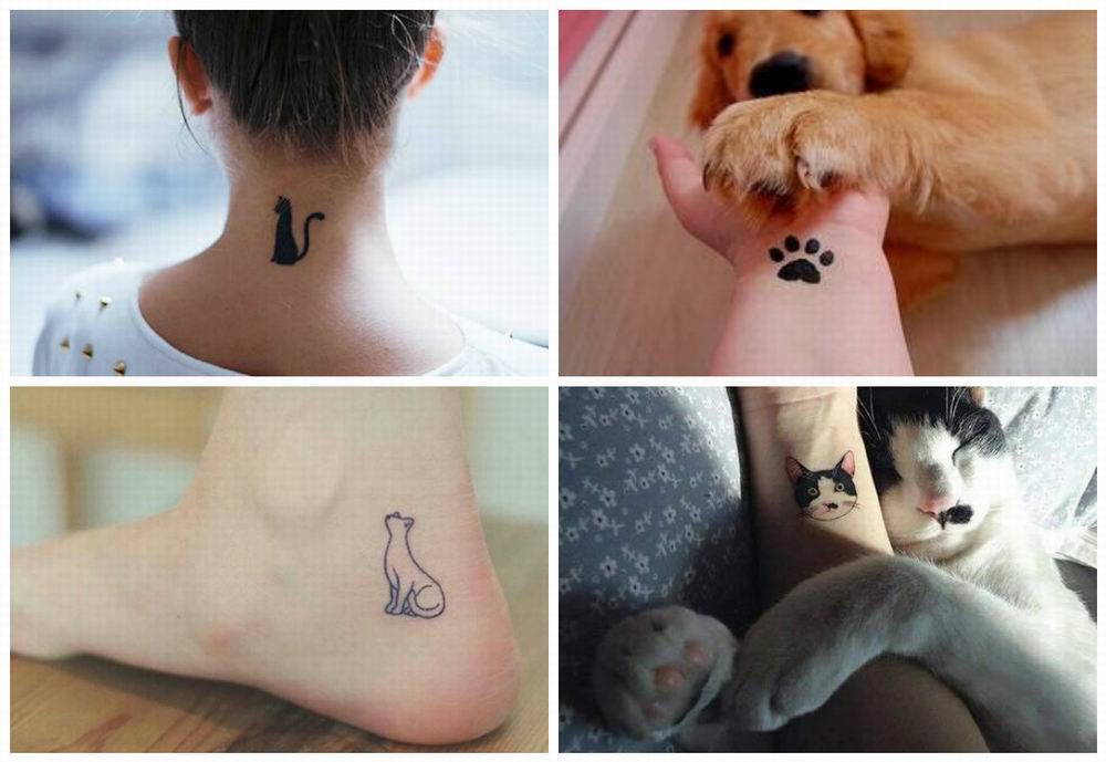 desenhos tatuagem yorkshire