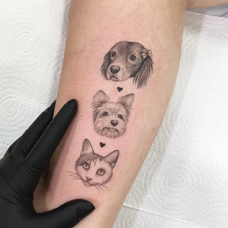 tatuagem de cão pequeno yorkshire