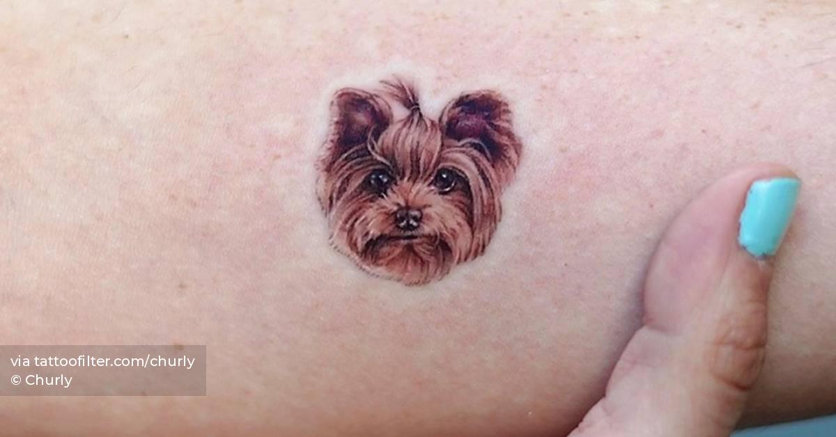 tatuagem cachorro yorkshire