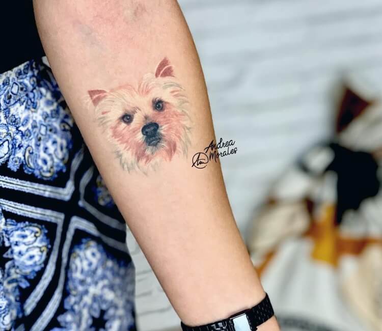 ideias tatuagem yorkshire terrier