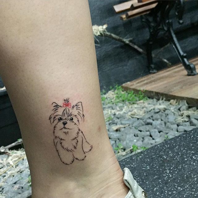 tatuagem yorkshire colorida