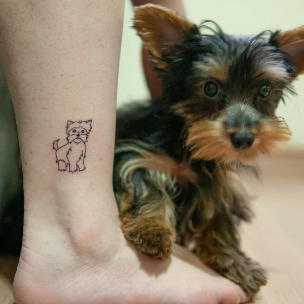 inspiração tatuagem yorkie