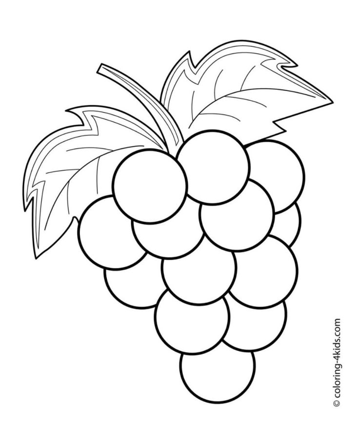 desenho de cacho de uva para pintar