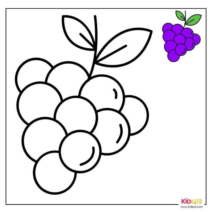 como desenhar uva para crianças