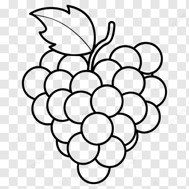 atividades educativas com frutas